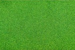 JTT 95401 N Grass Mat Light Green 50 x 34"
