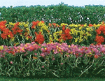 JTT 95509 HO Flower Hedges 5 x 3/8 x 5/8" Pkg 8 Pink