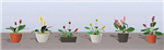 JTT 95569 HO Assorted Potted Flower Plants Set #3 Pkg 6