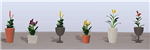 JTT 95571 HO Assorted Potted Flower Plants Set #4 Pkg 6