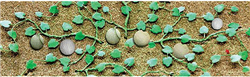 JTT 95574 O Cantaloupe Patch Pkg 4
