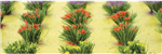 JTT 95581 HO Detachable Bushes Pkg 30 Flowers 3/8"Tall
