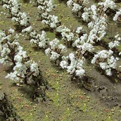 JTT 95591 O Cotton Plants Pkg 24