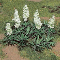 JTT 95612 O Yucca pkg 20