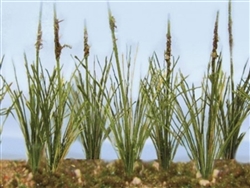 JTT 95633 HO Cattails Dried 24 Pieces