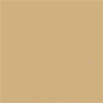 Mission Models 10 Water-Based Acrylic Paint 1oz MMP-010 Gelbbraun Yellow-Brown RAL 8020