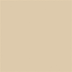 Mission Models 6 Water-Based Acrylic Weathering Paint 1oz MMW-006 Transparent Wash Dust 1