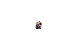 Noch 10702 HO Santa Claus and Boy on Lap Color 3D Print