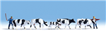 Noch 15724 HO Cows 5 Cows 2 Herders