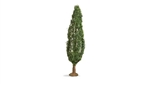 Noch 20130 Poplar Tree 7-1/16" Tall 