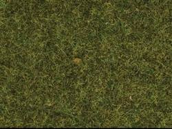 Noch 7117 Static Wild Grass 1.8oz 50g; 3/8" fibers Meadow