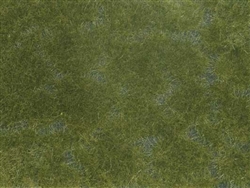 Noch 7252 Groundcover Dark Green