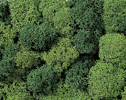 Noch 8610 Lichen Single Pack 1oz Assorted Green