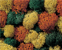 Noch 8630 Lichen Single Pack Autumn Assorted