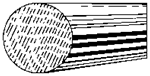 Northeastern Scale Lumber 489 Round Moulding 1/8 x 24" 0.32 x 60.96cm