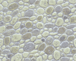Plastruct 91589 G Patterned Sheets Stone Random Polished .020 x 7 x 12" Pkg 2 .375" Beige Stones