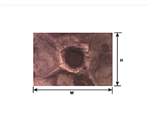 Plastruct 91695 Moon/Bomb Craters