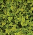 Plastruct 94411 Medium Ground Foam Spring Green
