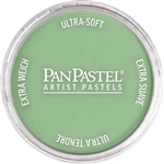 Pan Pastel 26607 Chromium Oxide Green Ligh