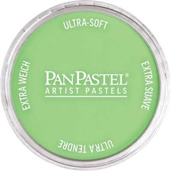 Pan Pastel 26907 Yellow Green Light