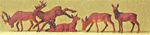 Preiser 14179 HO Deer Pkg 5