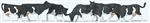 Preiser 79228 N Black & White Cows pkg(6)