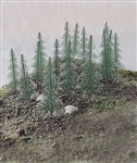 Rock Island Hobby 24202 Snow Fir 16/Pk 3.5"-4.3"