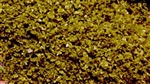Scenic Express 6142 SuperLeaf Scale Model Leaf Flake 16oz Shaker Moss Green