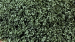 Scenic Express 6152 SuperLeaf Scale Model Leaf Flake 16oz Shaker Olive Green