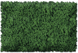 Scenic Express 806C Flock & Turf Scenic Foams & Ground Textures Green Tones 64 Ounces Grass Green Coarse