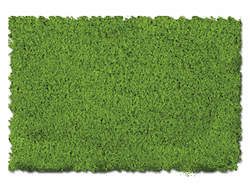 Scenic Express 810B Flock & Turf Scenic Foams & Ground Textures Green Tones 32 Ounces Spring Green Fine