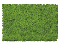 Scenic Express 810C Flock & Turf Scenic Foams & Ground Textures Green Tones 64 Ounces Spring Green Fine