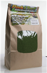 Scenic Express 810E Flock & Turf Ground Cover Eco Pack Bag 48oz Fine Spring Green