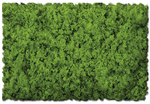 Scenic Express 811B Flock & Turf Scenic Foams & Ground Textures Green Tones 32 Ounces Spring Green Coarse