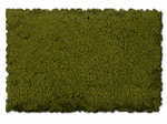 Scenic Express 812C Flock & Turf Scenic Foams & Ground Textures Green Tones 64 Ounces Burnt Green Fine