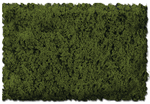 Scenic Express 813B Flock & Turf Scenic Foams & Ground Textures Green Tones 32 Ounces Burnt Green Coarse