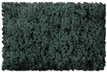 Scenic Express 818B Flock & Turf Scenic Foams & Ground Textures Green Tones 32 Ounces Hazy Green Coarse