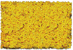 Scenic Express 864B Flock & Turf Superturf Ground Cover Desert Sage 32oz Shaker