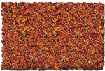 Scenic Express 871B Flock & Turf Scenic Foams & Ground Textures Autumn Tones 32 Ounces Autumn Glory Blend