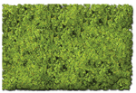 Scenic Express 882C Flock & Turf Scenic Foams & Ground Textures Blended Tones 64 Ounces Scrub Lawn Blend