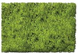 Scenic Express 882C Flock & Turf Scenic Foams & Ground Textures Blended Tones 64 Ounces Scrub Lawn Blend
