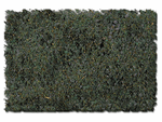 Scenic Express 887B Flock & Turf Scenic Foams & Ground Textures Blended Tones 32 Ounces Swampy Bog Blend