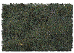 Scenic Express 887C Swampy Bog Blend 64 Oz