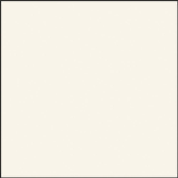 Testor 1168TT Flat White Enamel
