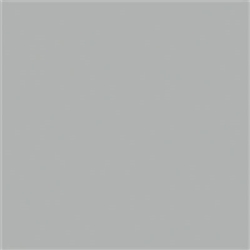 Testor 1246T Metallic Silver Spray