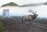 Train Enthusiast 48856 Elk Tracks Puzzle 550 Pieces