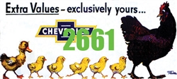 Tichy 2661 N Chevrolet Extra Values Billboard Kit
