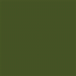 Tru-Color 1209 Military Acrylic Colors 1oz Light Green for Southeast Asia Camouflage