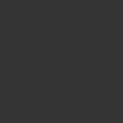 Tru-Color 130 Acrylic Paints 1oz New York Central Dark Gray