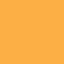 Tru-Color 138 Acrylic Paints 1oz Dakota Minnesota & Eastern / Iowa Chicago & Eastern Yellow